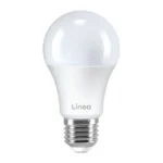 Led sijalica 100w