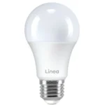 Led sijalica 60w