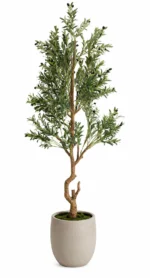 Premium Veštačko drvo masline 205cm