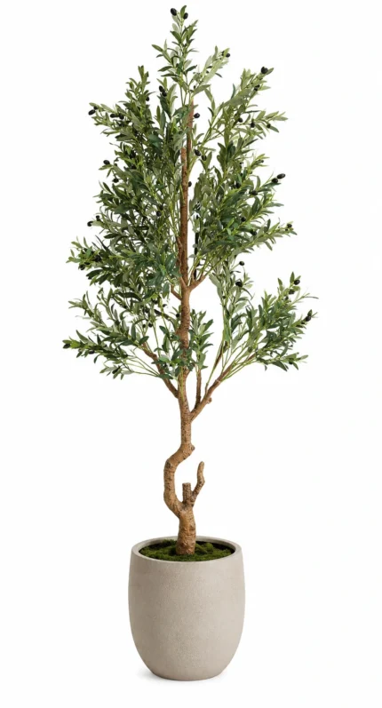 Premium Veštačko drvo masline 205cm