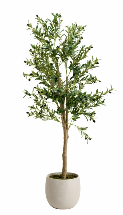 Premium Veštačko drvo masline 170cm